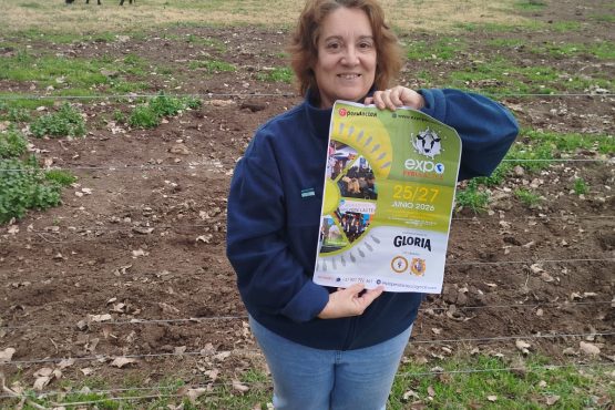 Gallinas que evitan diarreas en terneros: investigadora argentina presentará experiencia en el Congreso de Desarrollo Ganadero de Expoperulactea 2026